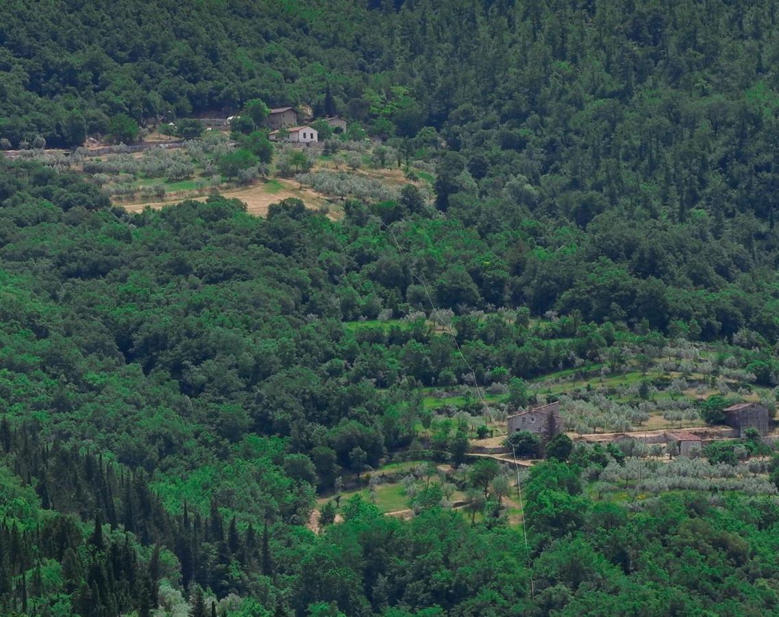 Villa Ancora Tenuta Lonciano Gualdo  外观 照片
